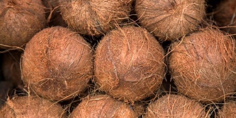 coconut-market_52137-15346-transformed