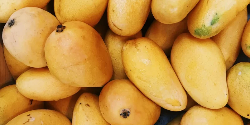 SKKR Global Traders mangoes
